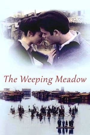 The Weeping Meadow