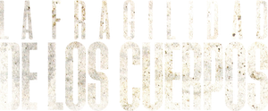 A Fragilidade dos Corpos — Logos 3