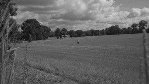 The field