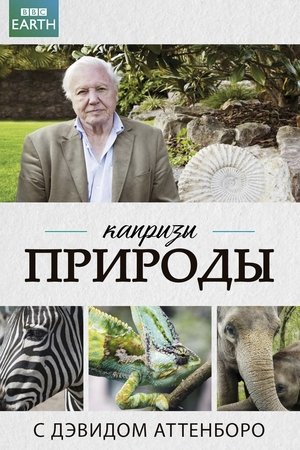 Image Капризы природы с Дэвидом Аттенборо