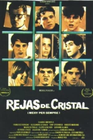 Rejas de cristal