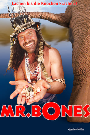 Poster Mr. Bones 2001