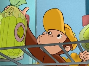 Curious George George the Grocer