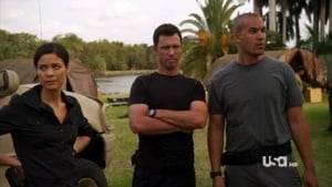 Burn Notice: 5×8