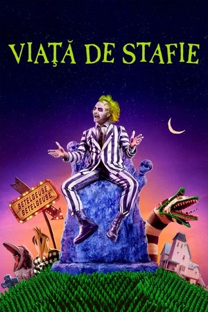 Image Viața de stafie