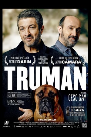 Poster Truman 2015