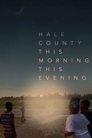 Poster Hale County This Morning, This Evening 2018