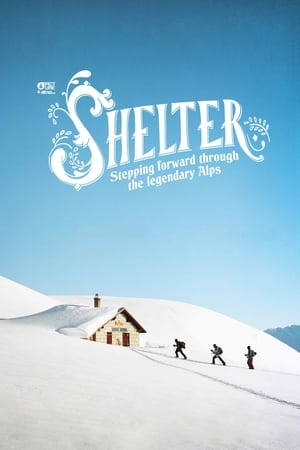 Poster Shelter 2019