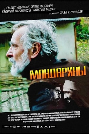 Мандарины 2013