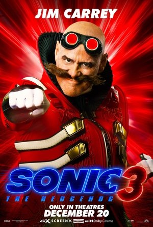 poster Sonic the Hedgehog 3