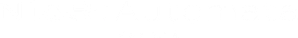 NieR:Automata Ver1.1a