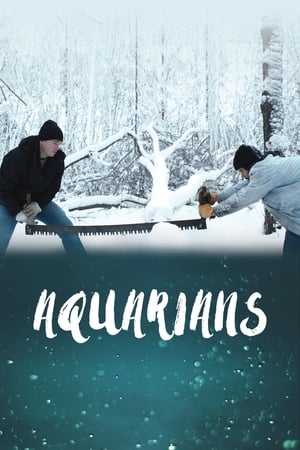 Aquarians poster