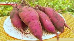 Image Sweet Potatoes