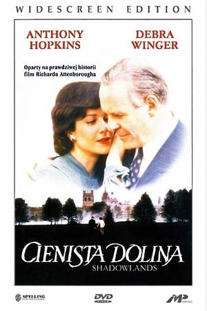 Cienista dolina 1993