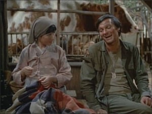 M*A*S*H 4. évad 18. rész