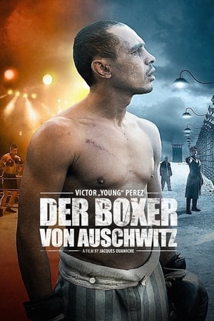 Poster Der Boxer von Auschwitz 2013