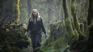 The 100: 1×1