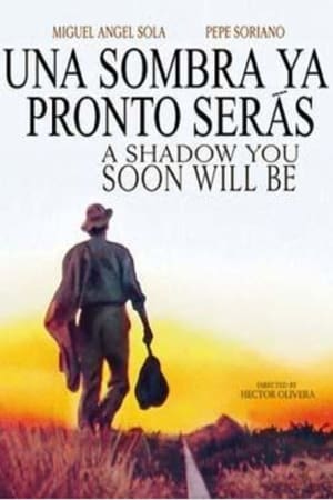 A Shadow You Soon Will Be poster