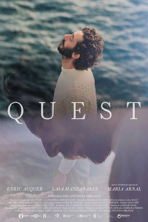 Quest 3