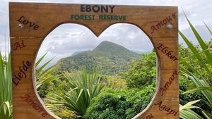 Episode 76