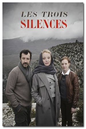 Poster Les trois silences 2014