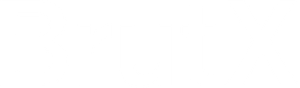 Logo BrutX