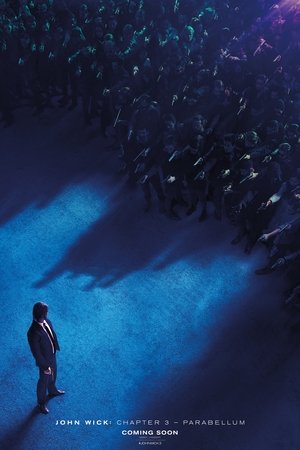 poster John Wick: Chapter 3 - Parabellum