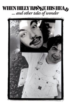 When Billy Broke His Head... and Other Tales of Wonder