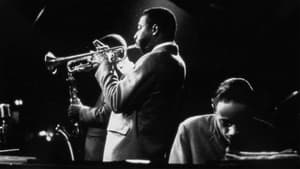 Jazz Risk: 1945-1955