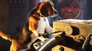 Como perros y gatos (2001) HD 1080p Latino