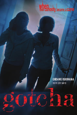 Poster Gotcha (2006)