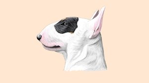 We Don’t Deserve Dogs (2020)