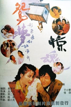 Poster 鸳梦惊魂 (1993)