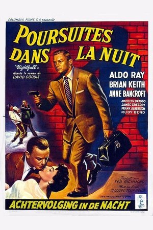 Poursuites dans la nuit Poursuites dans la nuit