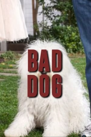 Poster Mark Zuckerberg’s Dog (2016)