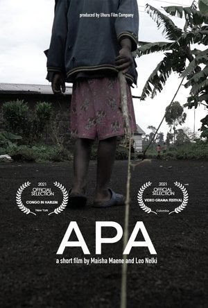 Poster di APA