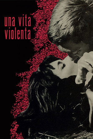 Violent Life 6
