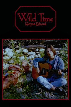 Wild Time poster