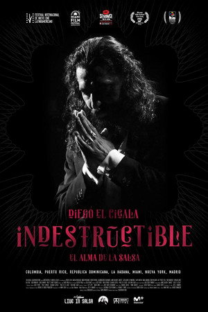 Indestructible: El alma de la salsa 2