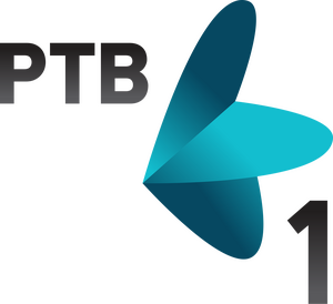 RTV 1