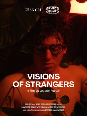 Visions Of Strangers 3