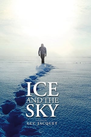 Poster Antarctica: Ice & Sky (2015)