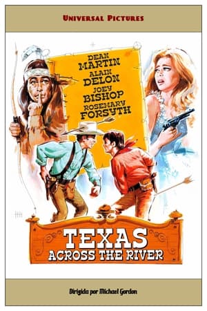 Poster Texas 1966