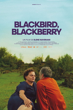 Blackbird Blackbird Blackberry