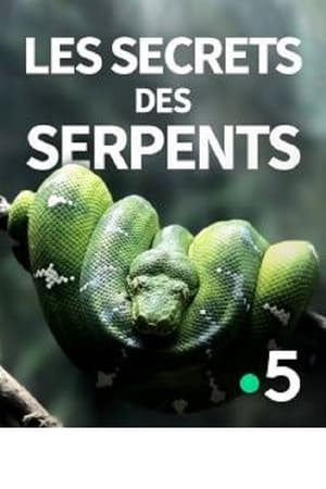 Image Les secrets des serpents