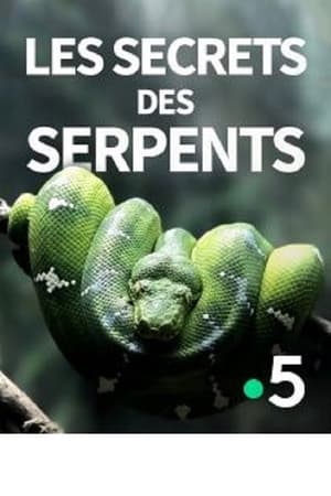 Poster Les secrets des serpents 2016