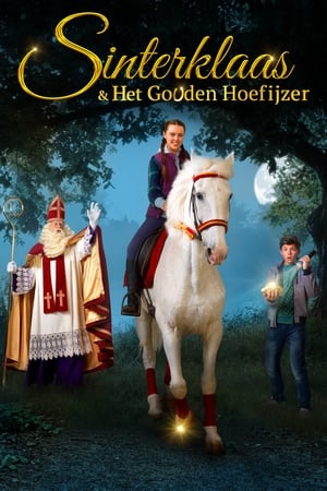 Poster Sinterklaas & Het Gouden Hoefijzer 2017