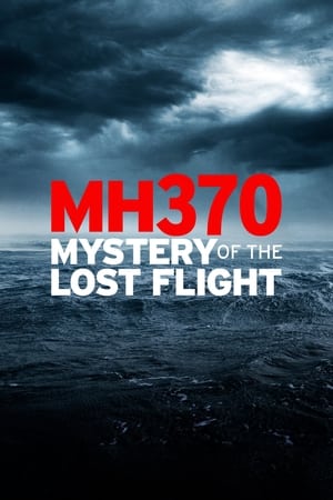 Poster MH370: Mystery of the Lost Flight 2022
