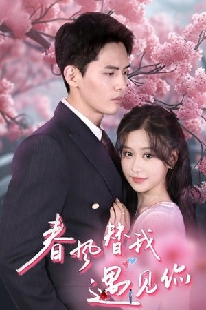 春风替我遇见你