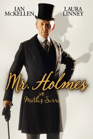 Poster Mr. Holmes ve Müthiş Sırrı 2015